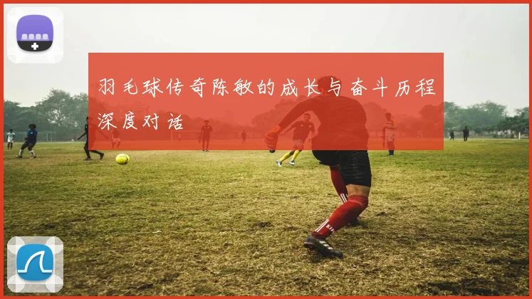 羽毛球传奇陈敏的成长与奋斗历程深度对话